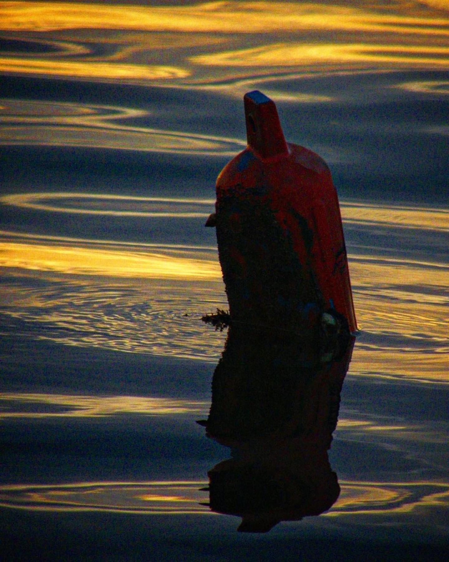 Barrbra Bnb Over The Sea Bocas Town Kültér fotó