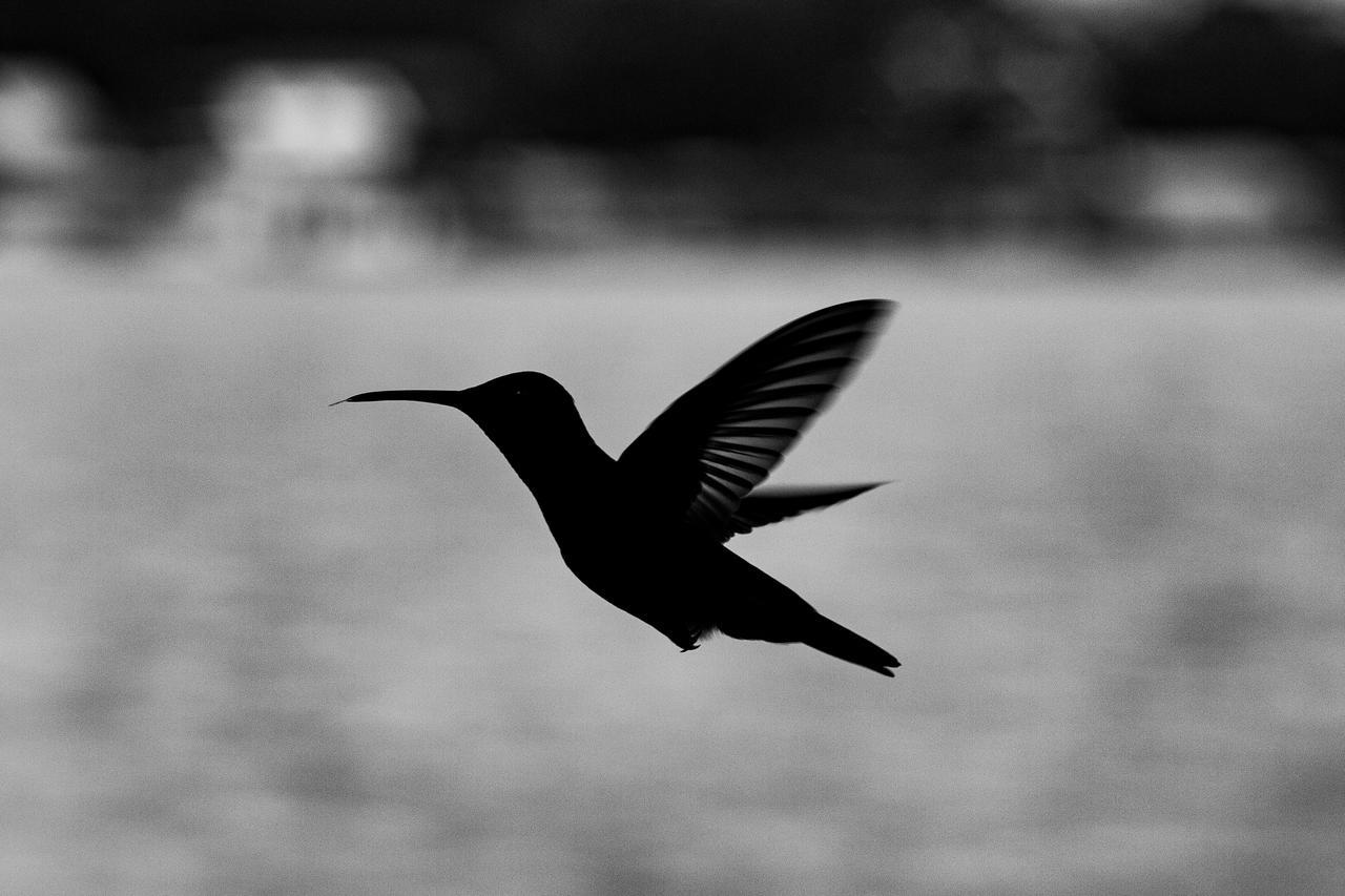 Barrbra Bnb Over The Sea Bocas Town Kültér fotó